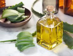 Want to Have Beautiful and Healthy Hair?  Nothing is more Beneficial than Elevora Oil:: Here is a Complete guide to Make this Magical Remedy:-