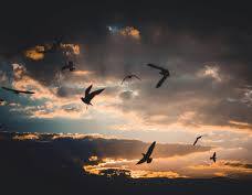 حدود جاں سے گزر ہوا تو ۔۔۔۔۔۔۔