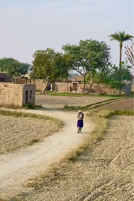 کوئی خواب میکوں ادھارا نہ ڈیویں ۔۔۔۔