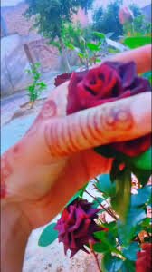 تمہارے مطابق نظر آئیں کیسے۔۔۔