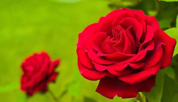 کچھ اور بھی جاگو کہ وہ شب خیز بہت ہے